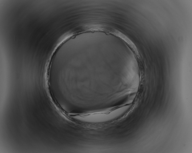 X0000086780806200705111754