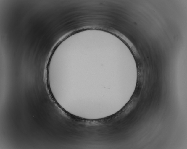 X0000086780807200705111754