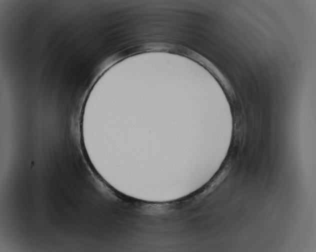 X0000086780810200705111754