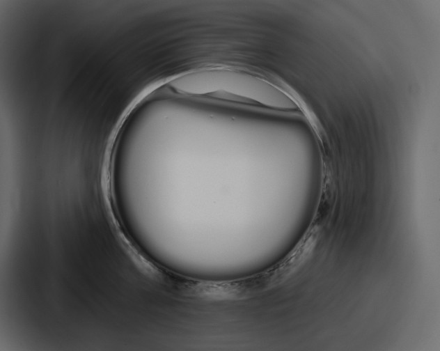 X0000086780811200705111754