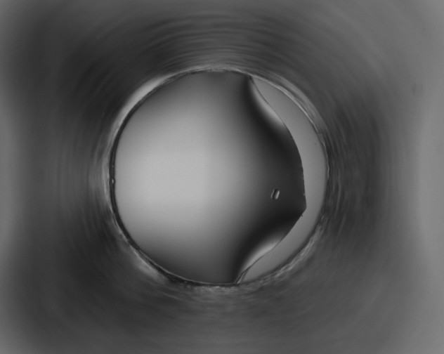 X0000086780812200705111754