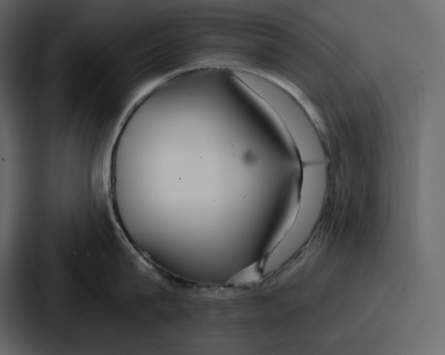 X0000086780815200705111754