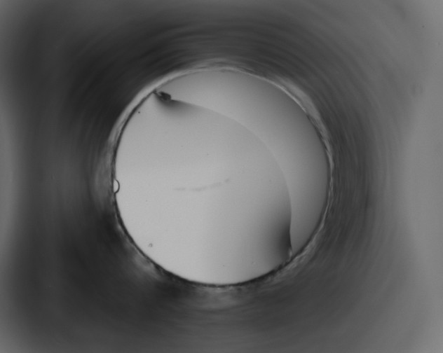 X0000086780816200705111754