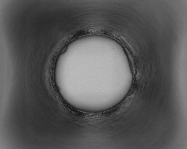 X0000086780817200705111753