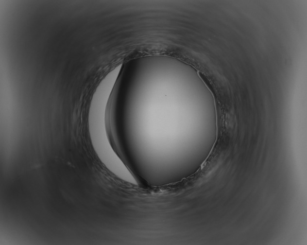 X0000086780818200705111753