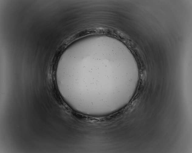 X0000086780819200705111753