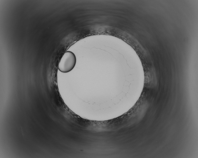 X0000086780820200705111753