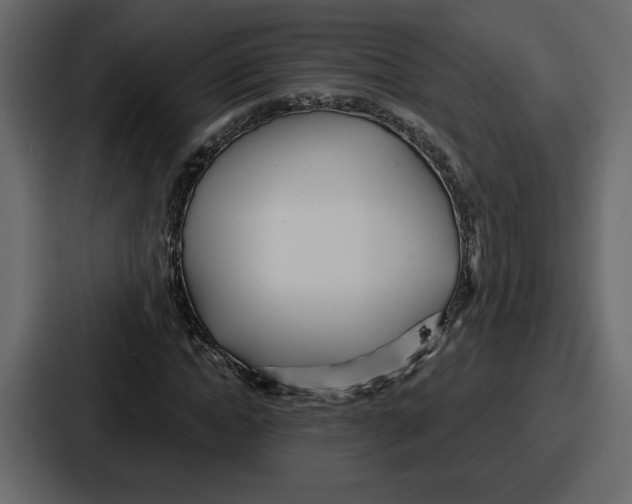 X0000086780822200705111753