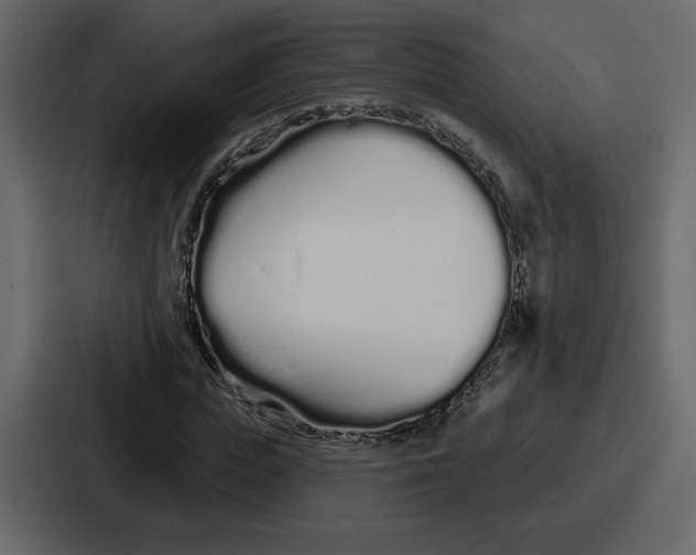 X0000086780823200705111753