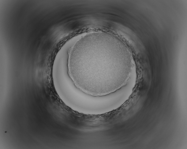 X0000086780824200705111753