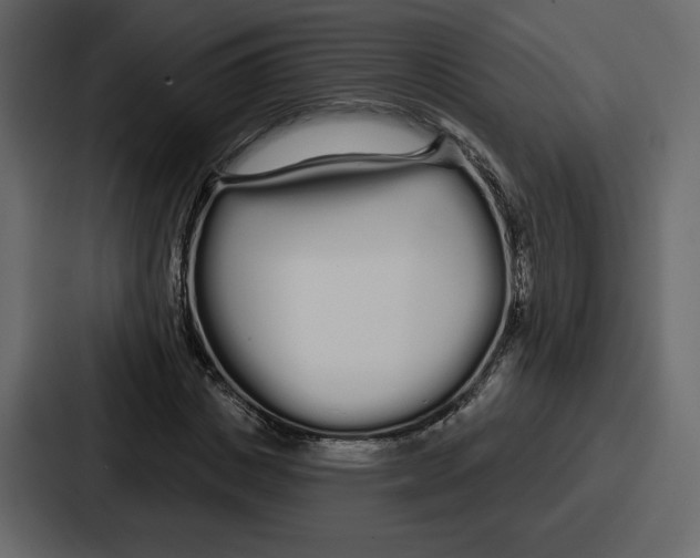 X0000086780825200705111753