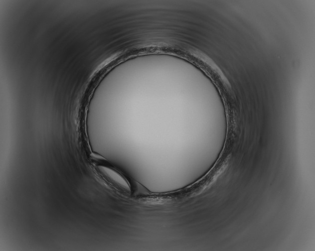 X0000086780826200705111753