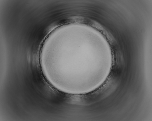 X0000086780828200705111753