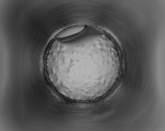 X0000086780829200705111753