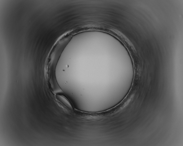 X0000086780830200705111753