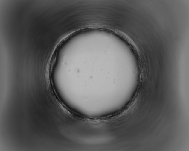 X0000086780831200705111753