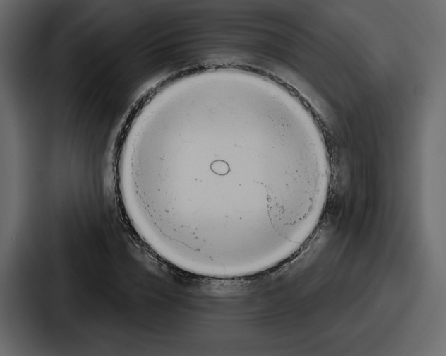 X0000086780832200705111753