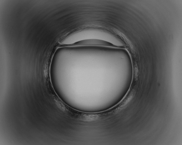 X0000086780833200705111753