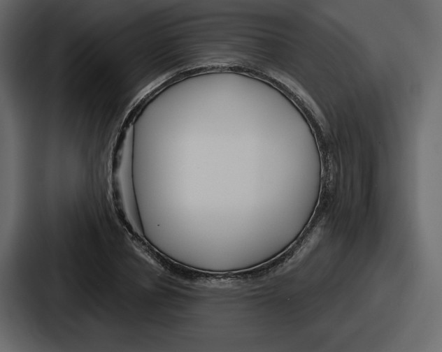 X0000086780834200705111753