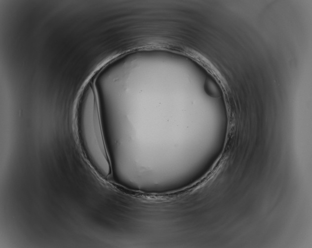 X0000086780835200705111753