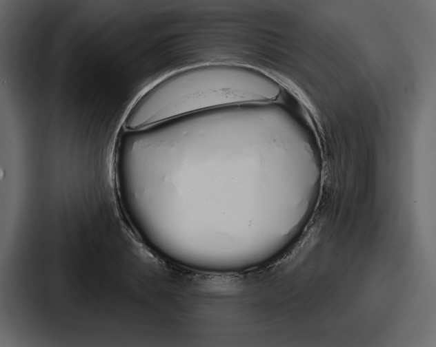 X0000086780839200705111753