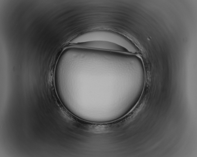 X0000086780841200705111753