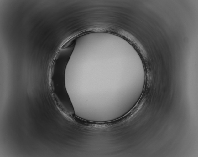 X0000086780842200705111753