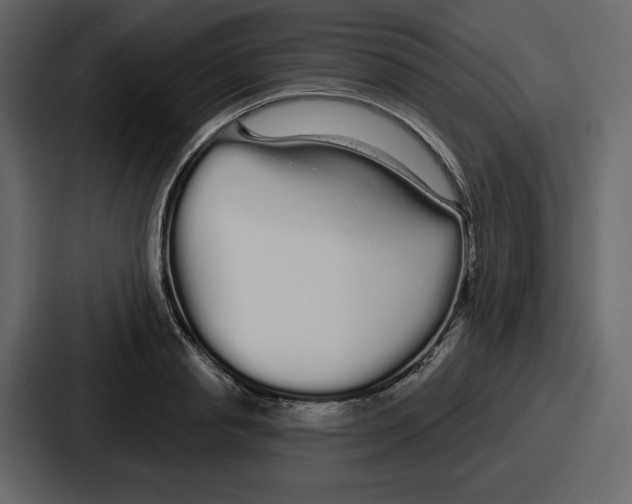 X0000086780845200705111753