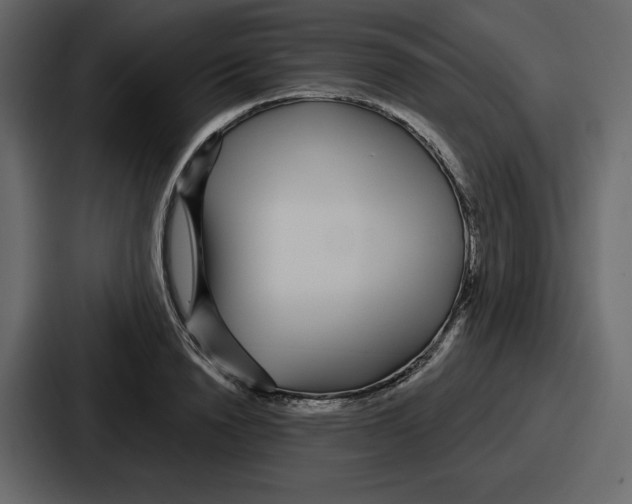 X0000086780846200705111753