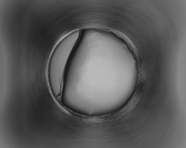 X0000086780847200705111753