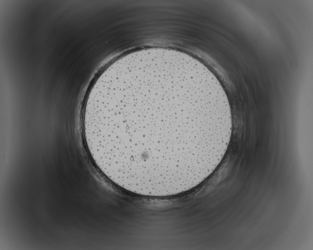 X0000086780848200705111753