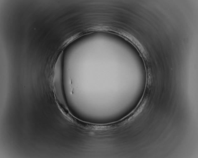 X0000086780849200705111753