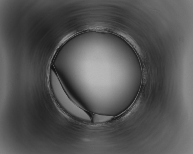 X0000086780850200705111753