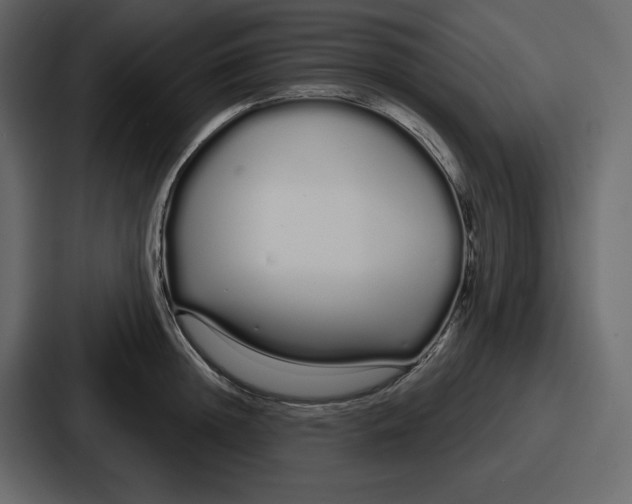 X0000086780852200705111753