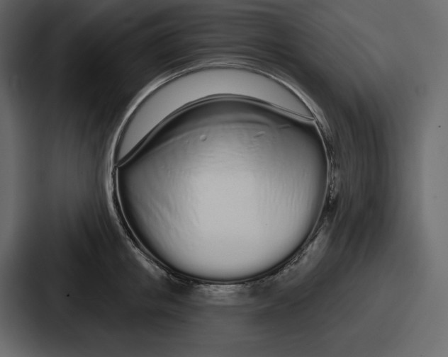 X0000086780853200705111753