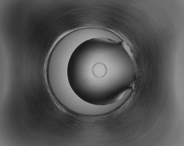 X0000086780854200705111753