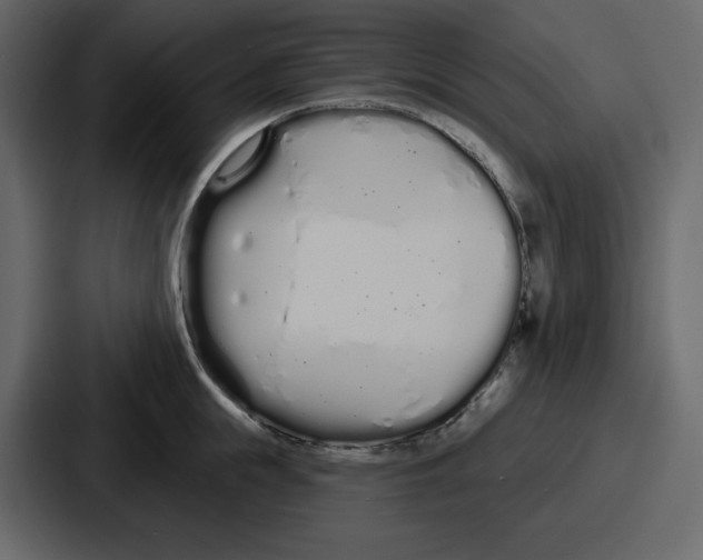 X0000086780855200705111753