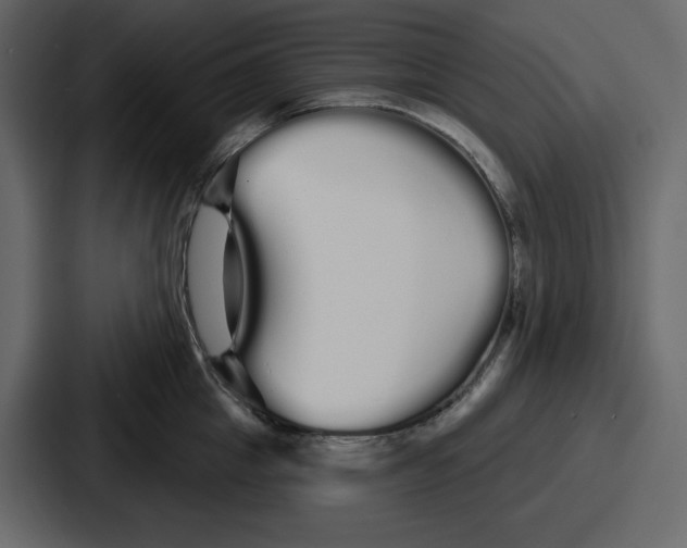 X0000086780857200705111753