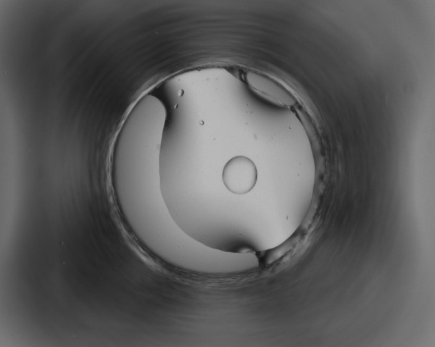 X0000086780858200705111753