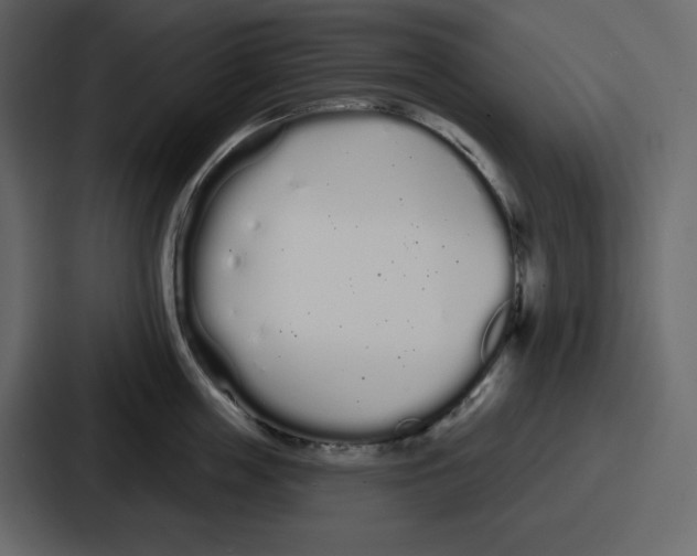 X0000086780859200705111753