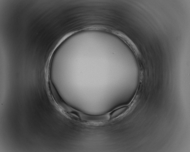 X0000086780860200705111753