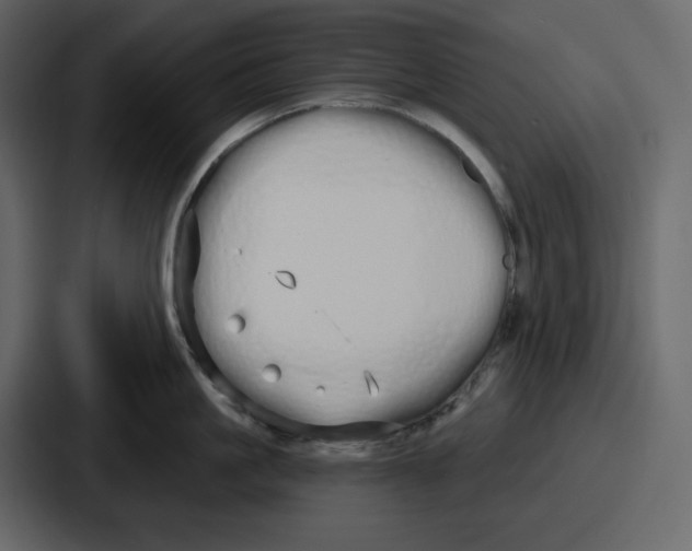 X0000086780861200705111753