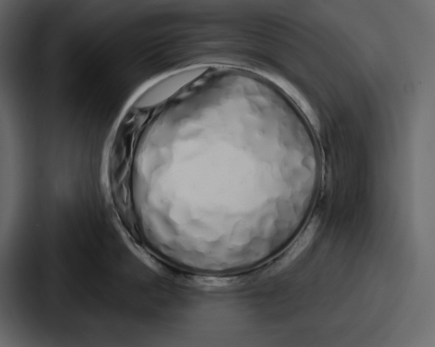 X0000086780862200705111753