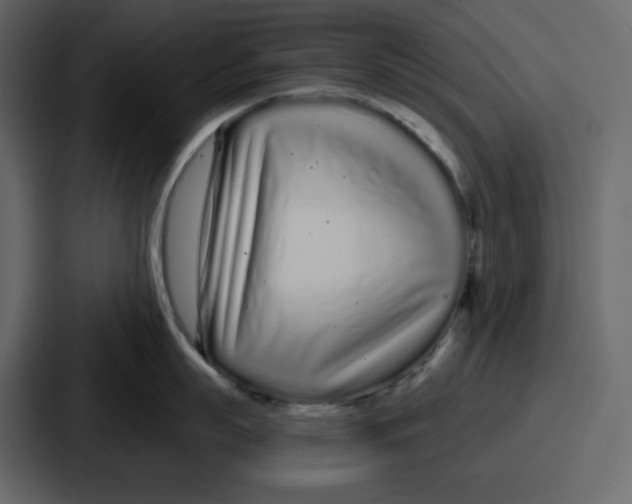 X0000086780863200705111754