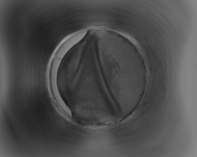 X0000086780864200705111754