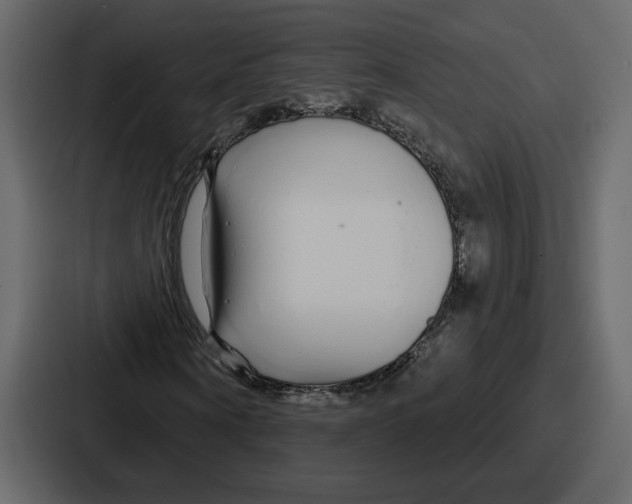 X0000086780866200705111753