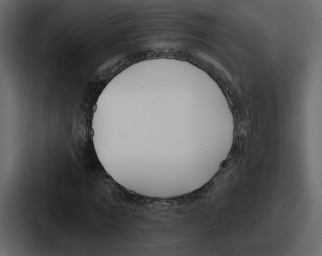 X0000086780869200705111753