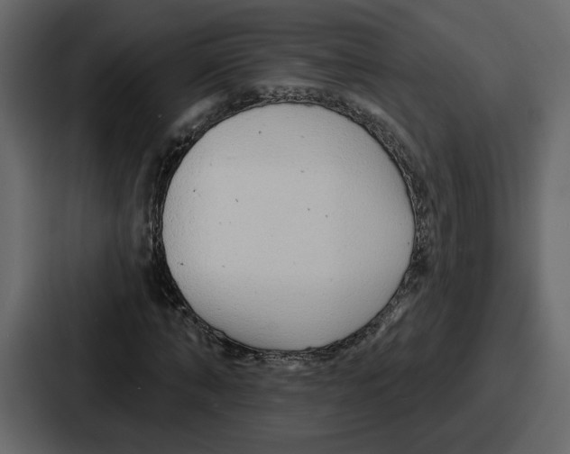 X0000086780870200705111753