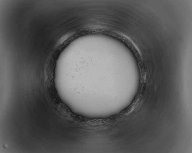 X0000086780871200705111753