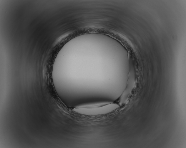 X0000086780872200705111753